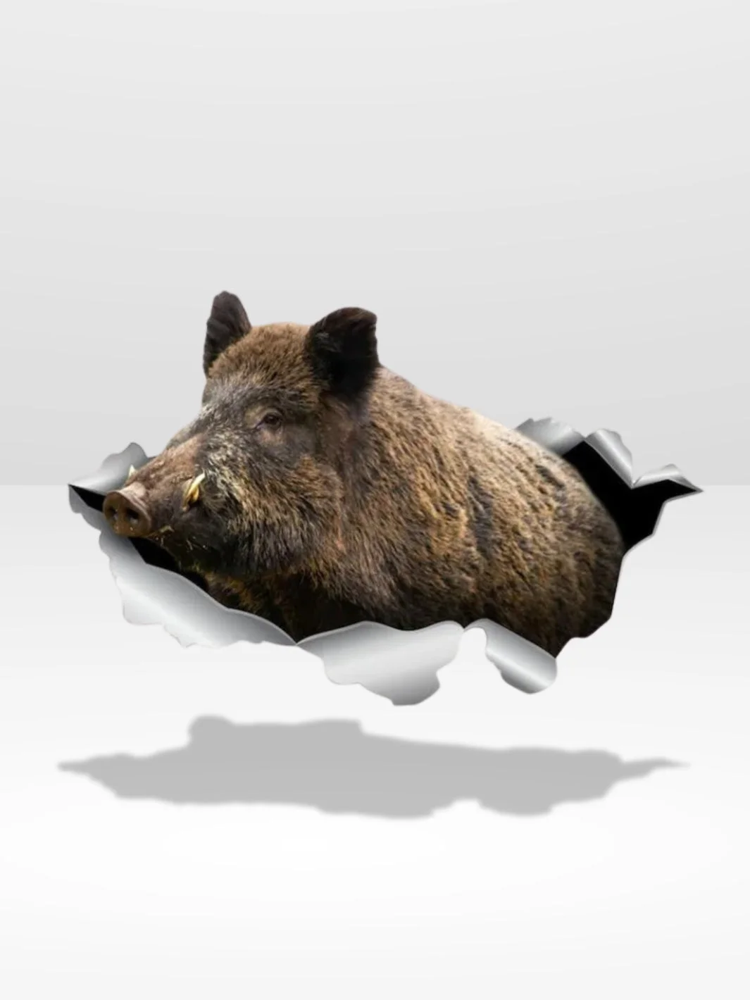 Naljepnica Divlja Svinja za Auto | Priroda Potvrđena ® Naljepnica Divlja Svinja za Auto | Priroda Potvrđena ®