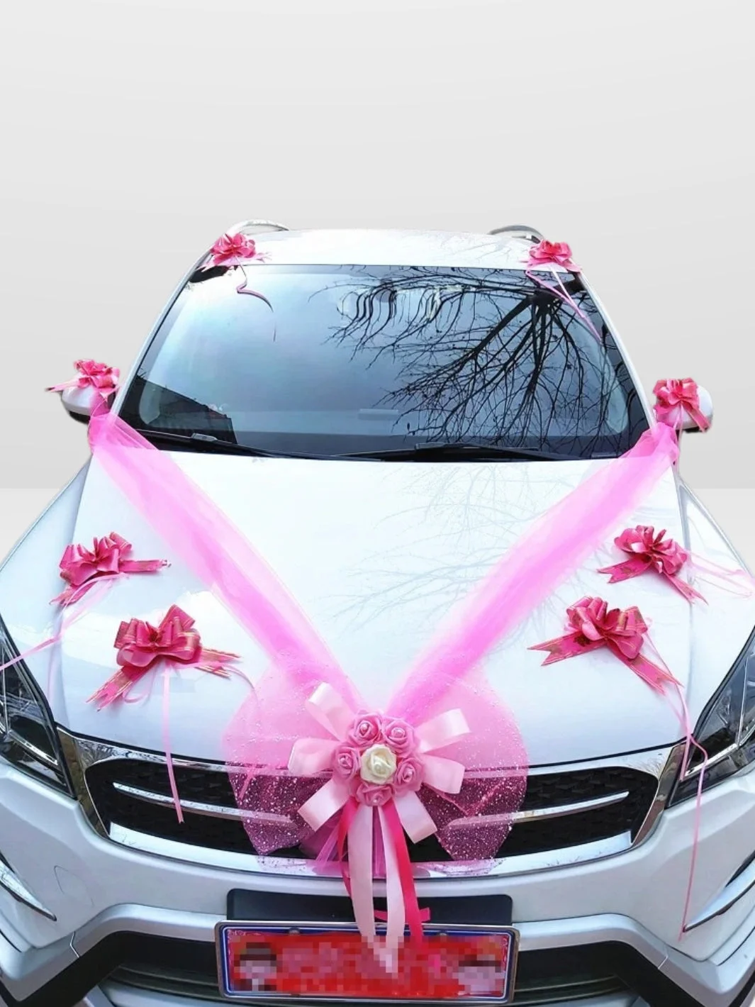 Kit de Decoração para Carro de Casamento | Desfile de Contos de Fadas ®